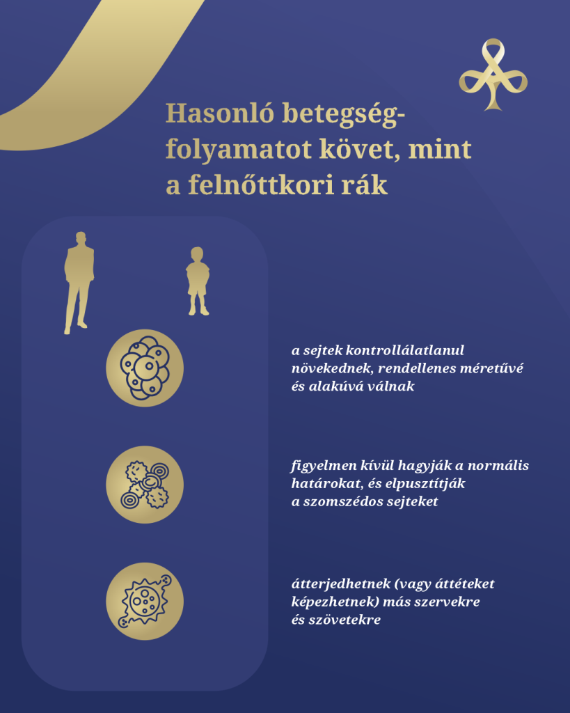 Infografika_6_b